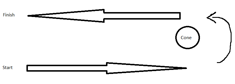 fig Obstacle Path.1